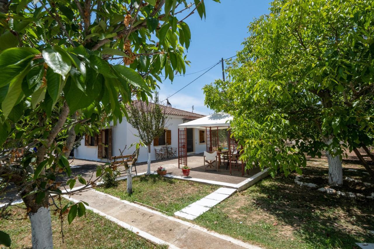 Nagia'S House, Εξοχική Κατοικία Κοντά Στη Θάλασσα! Korakokhórion Eksteriør billede